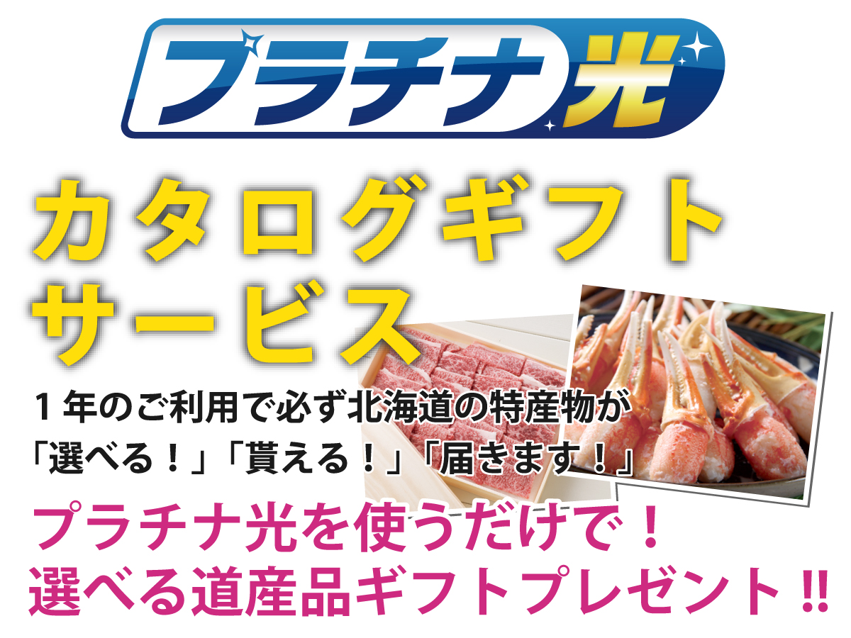 「プラチナ光」1年のご利用で必ず北海道の特産品が「選べる！」「貰える！」「届きます！」選べる道産品ギフトプレゼント!!