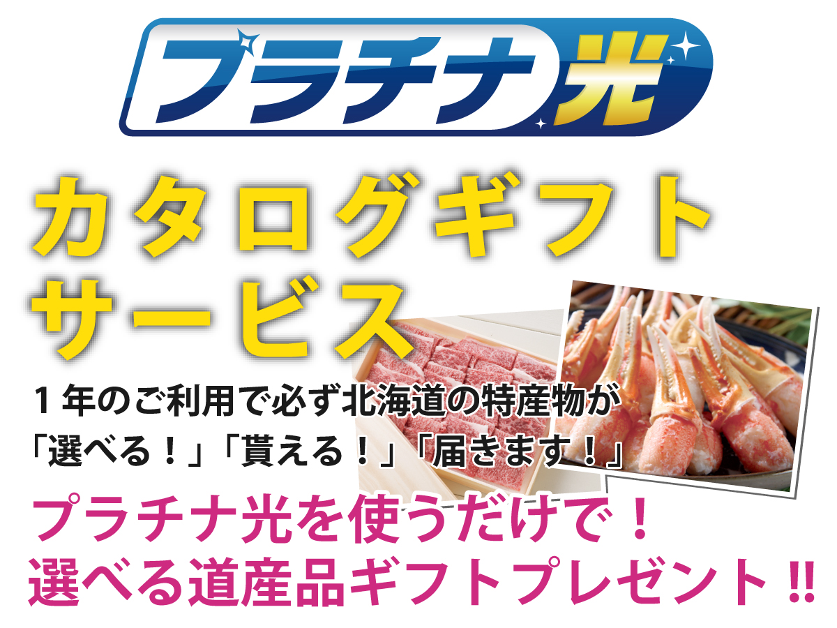 プラチナ 光 マーカー テレ